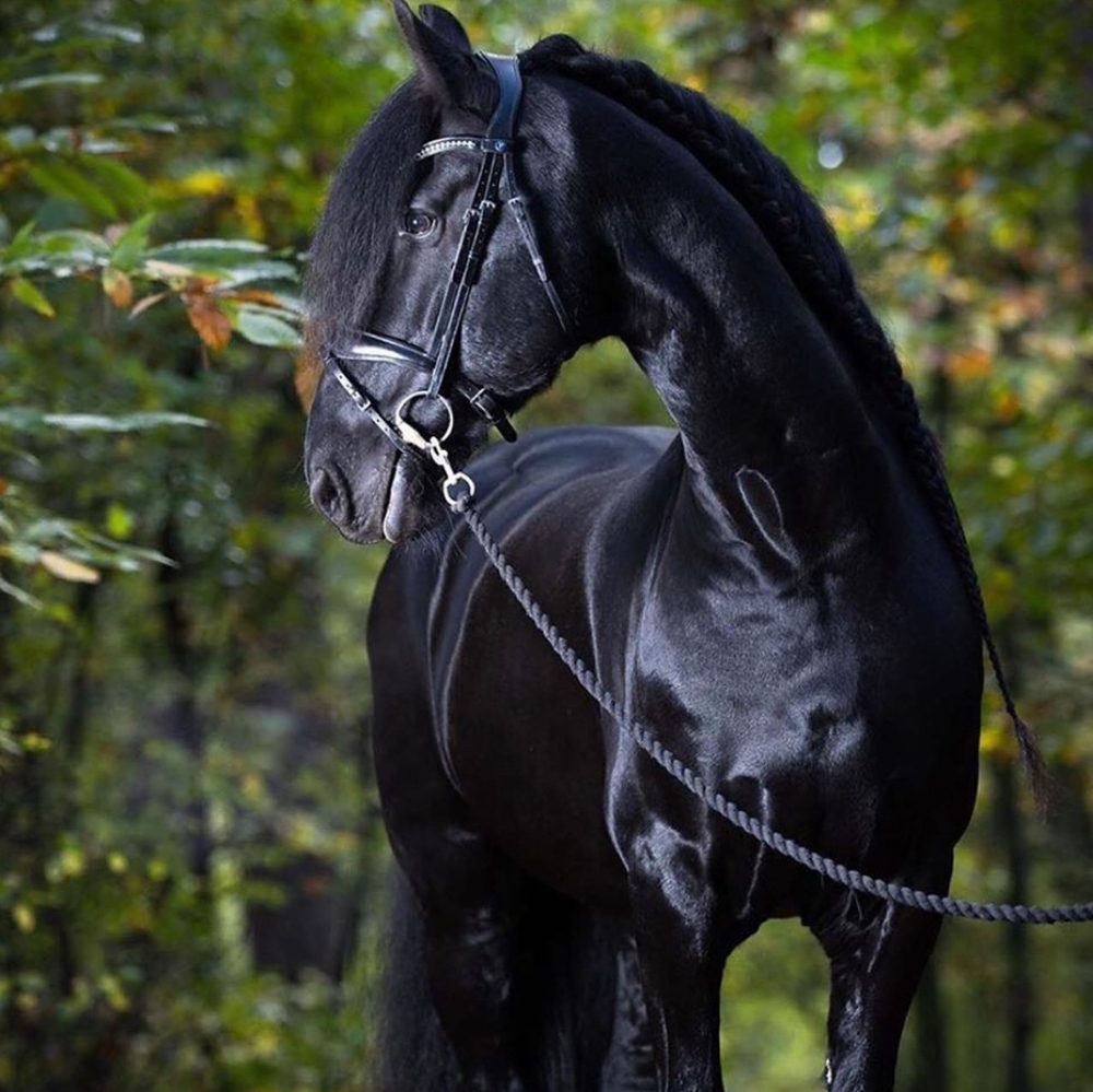 Meet your Posher, Christine